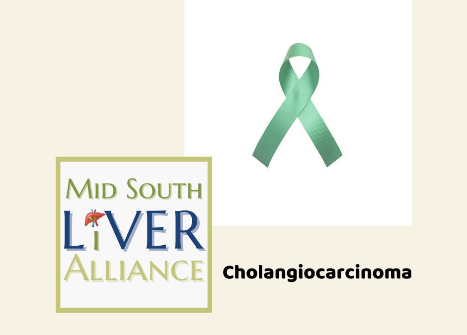 Photo of a green ribbon with Cholangiocarcinoma and the Mid South Liver Alliance logo