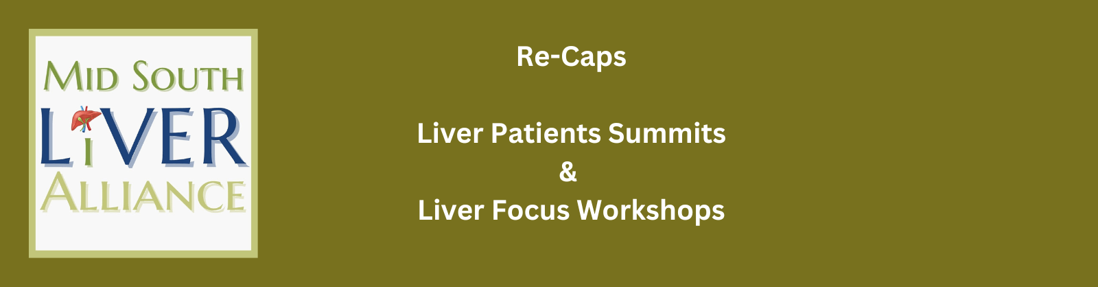 Header for Re-Cap page for Workshops and Summits